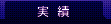 実績