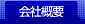 ЊTv